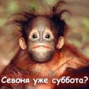 Андрей Вячеславович