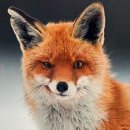 С_Литвинов