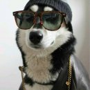 Old_Siberian